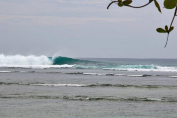 surf More? in krui south sumatra