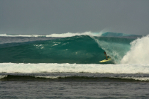 surfing in krui Photo Gallery
